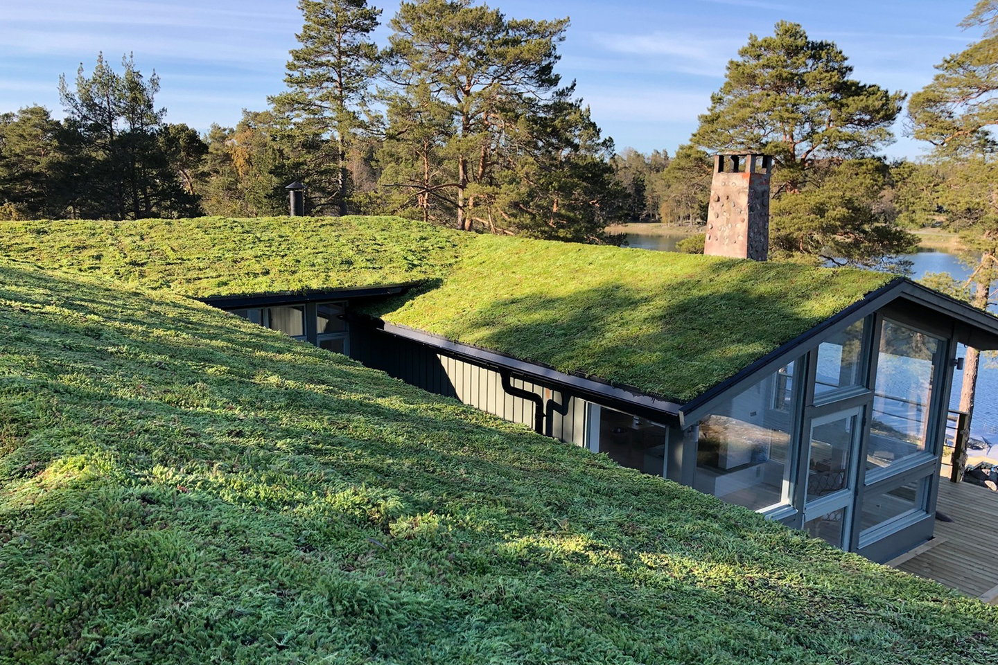 Growtek l Grønne tage