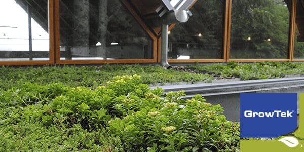 Det klimavenlige alternativ - De mange fordele ved grønne tage