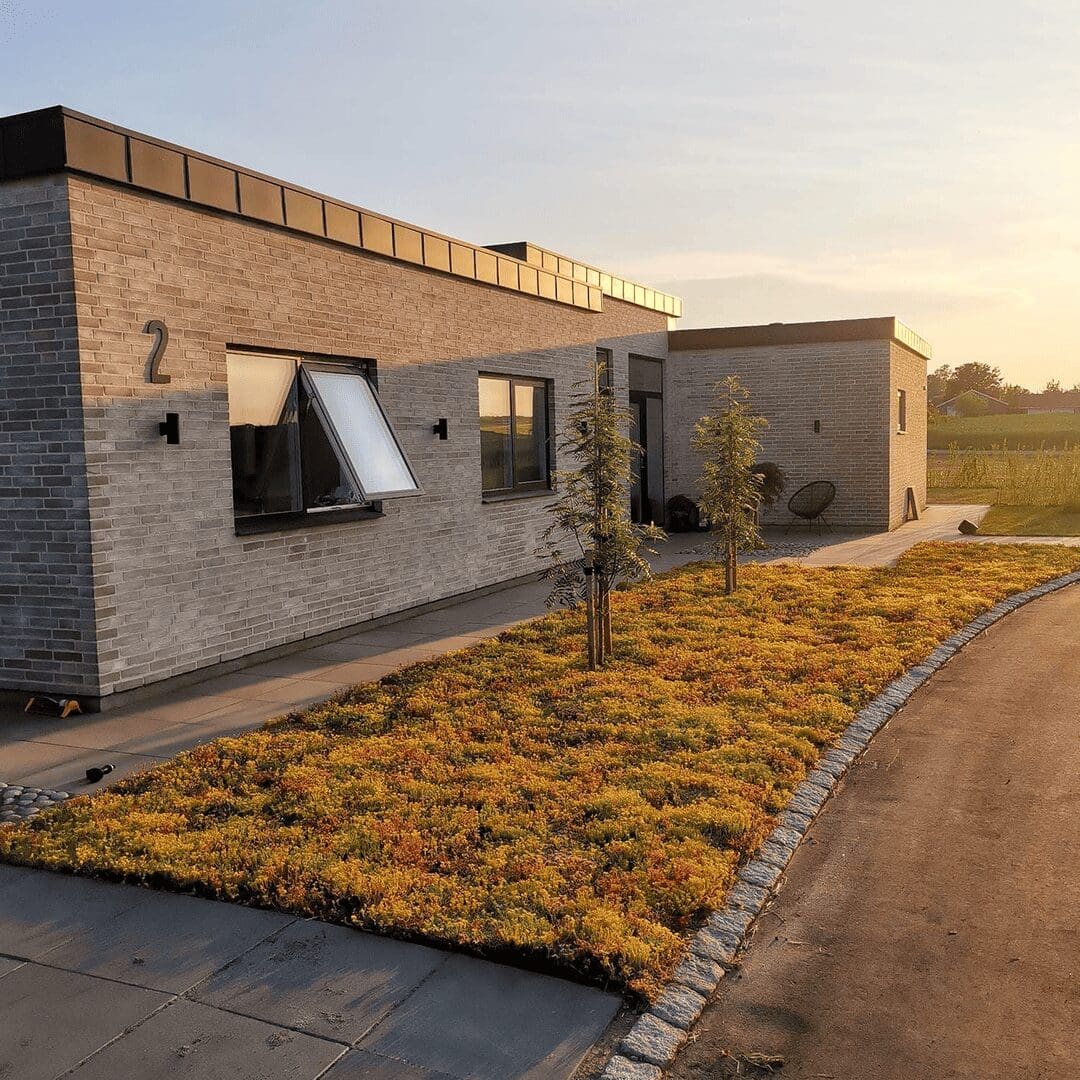 Sedummåtter som bunddække