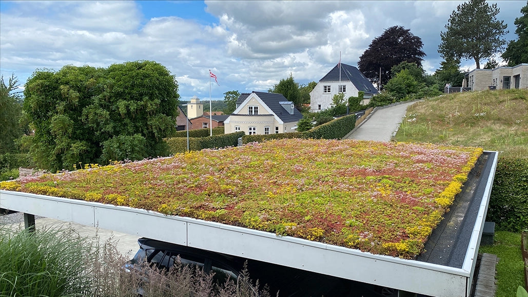 Carport med Sedumtag