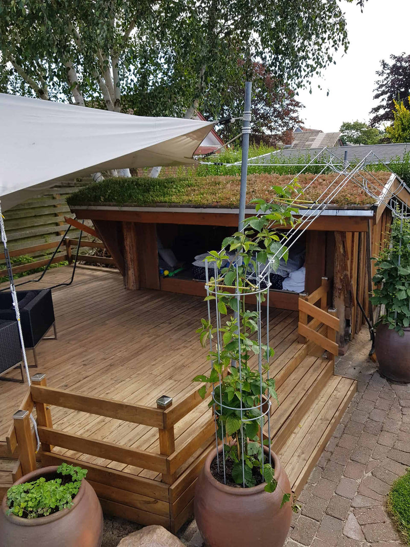 Shelter i Oksbøl
