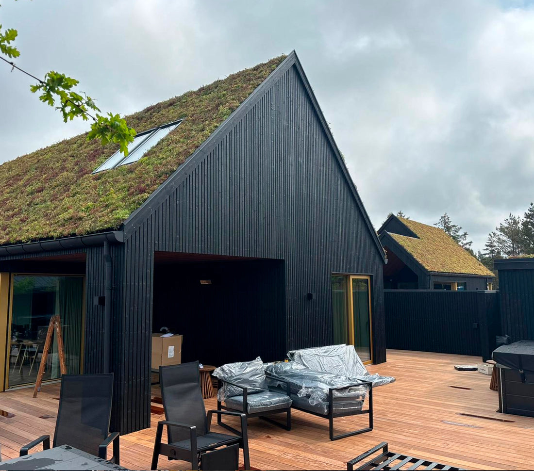 Sedumtag på Sommerhus