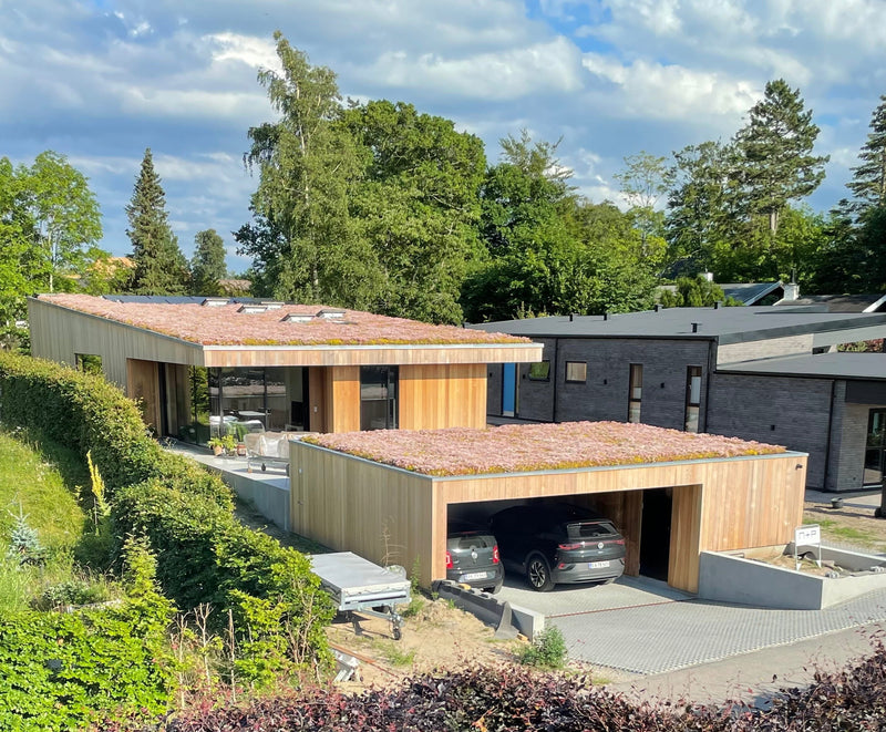 Villa med Sedumtag