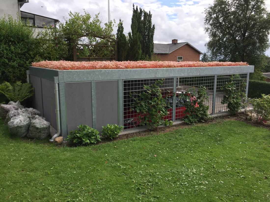 Sedumtage til carporte med CarTop