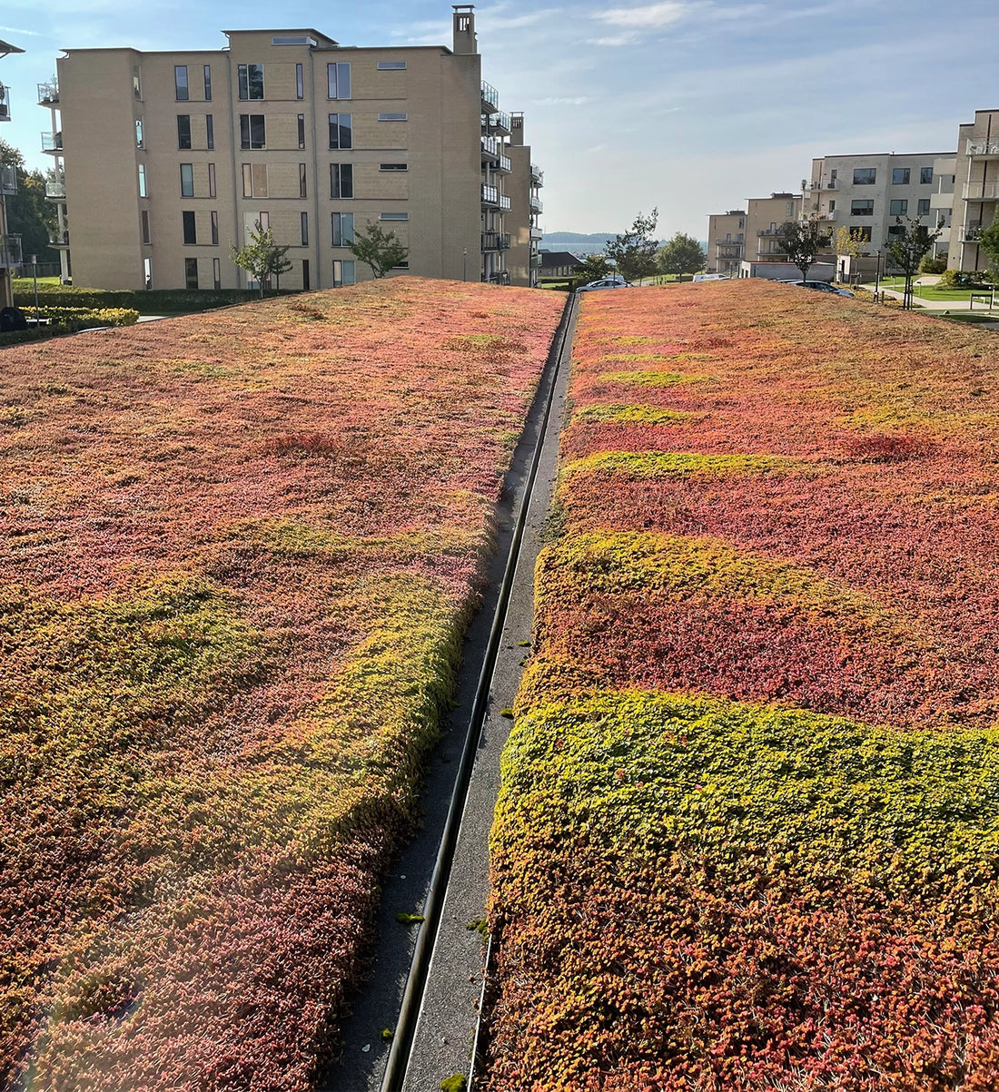 Fænøsund, Middelfart