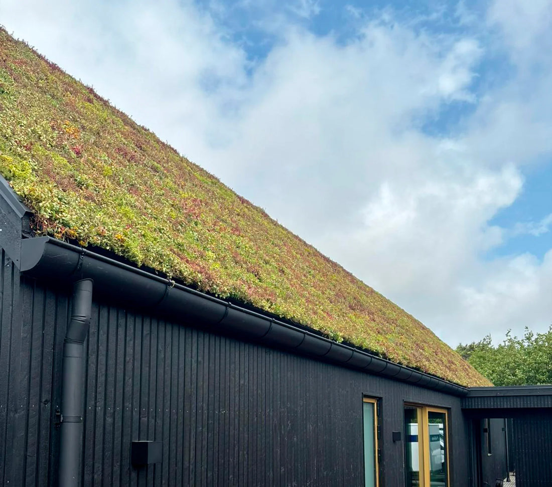 Hvad gør grønne tage?