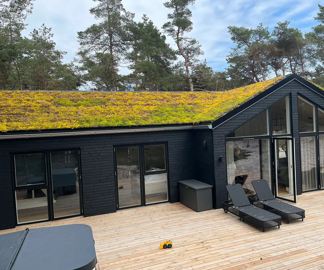 Sommerhus på Nexø