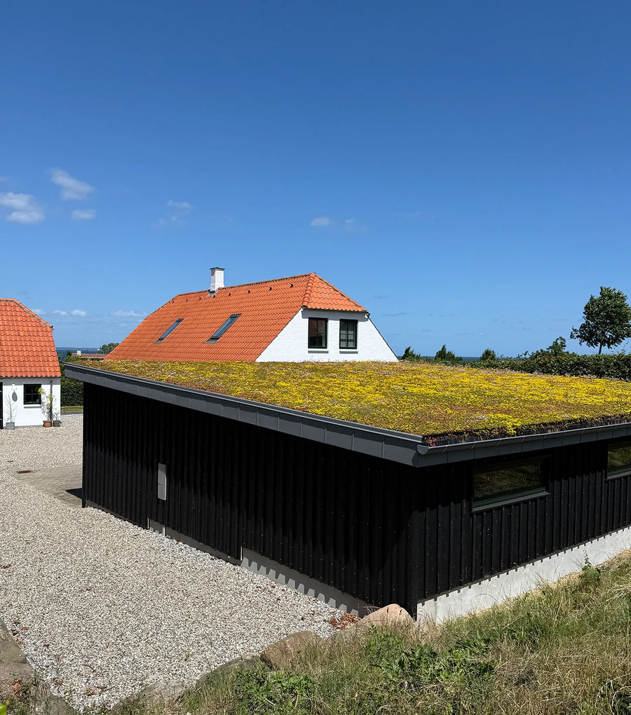 Garage med sedumtag