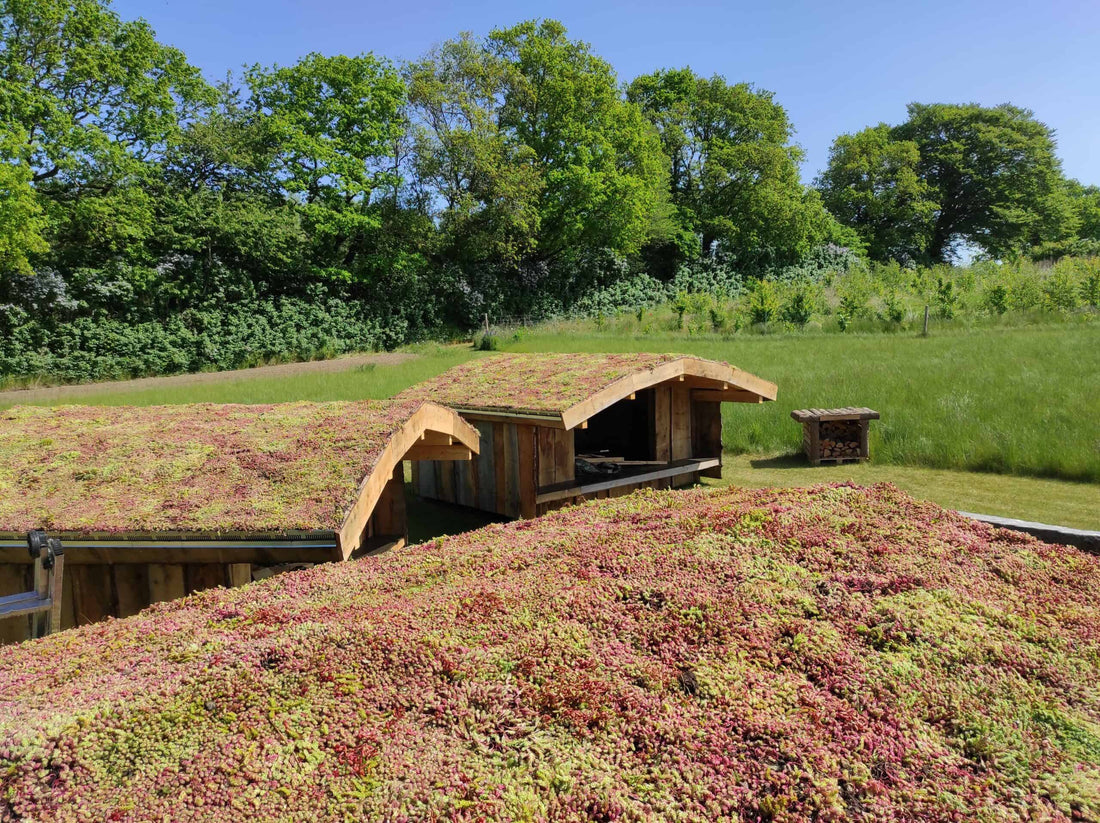 Fjelsted Skov Hotel & Konference