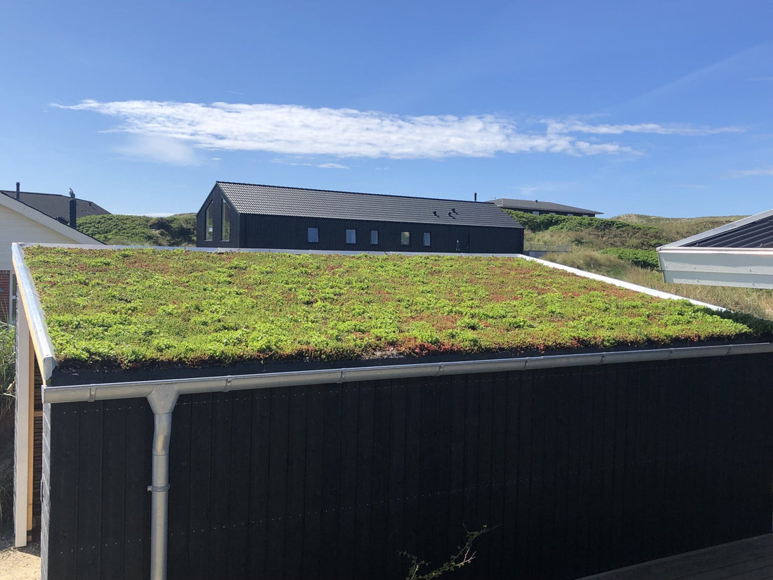 Carport ved Vesterhavet