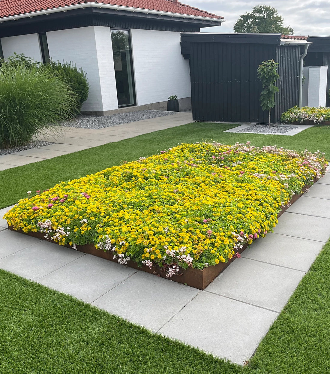 Sedummåtter til bunddække