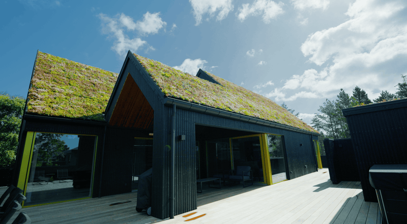 Sedumtag på Sommerhus