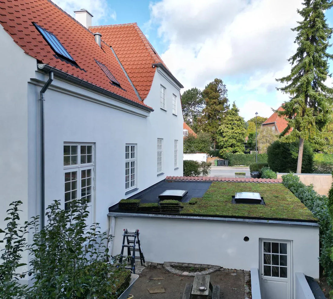 Tilbygning med Sedumtag