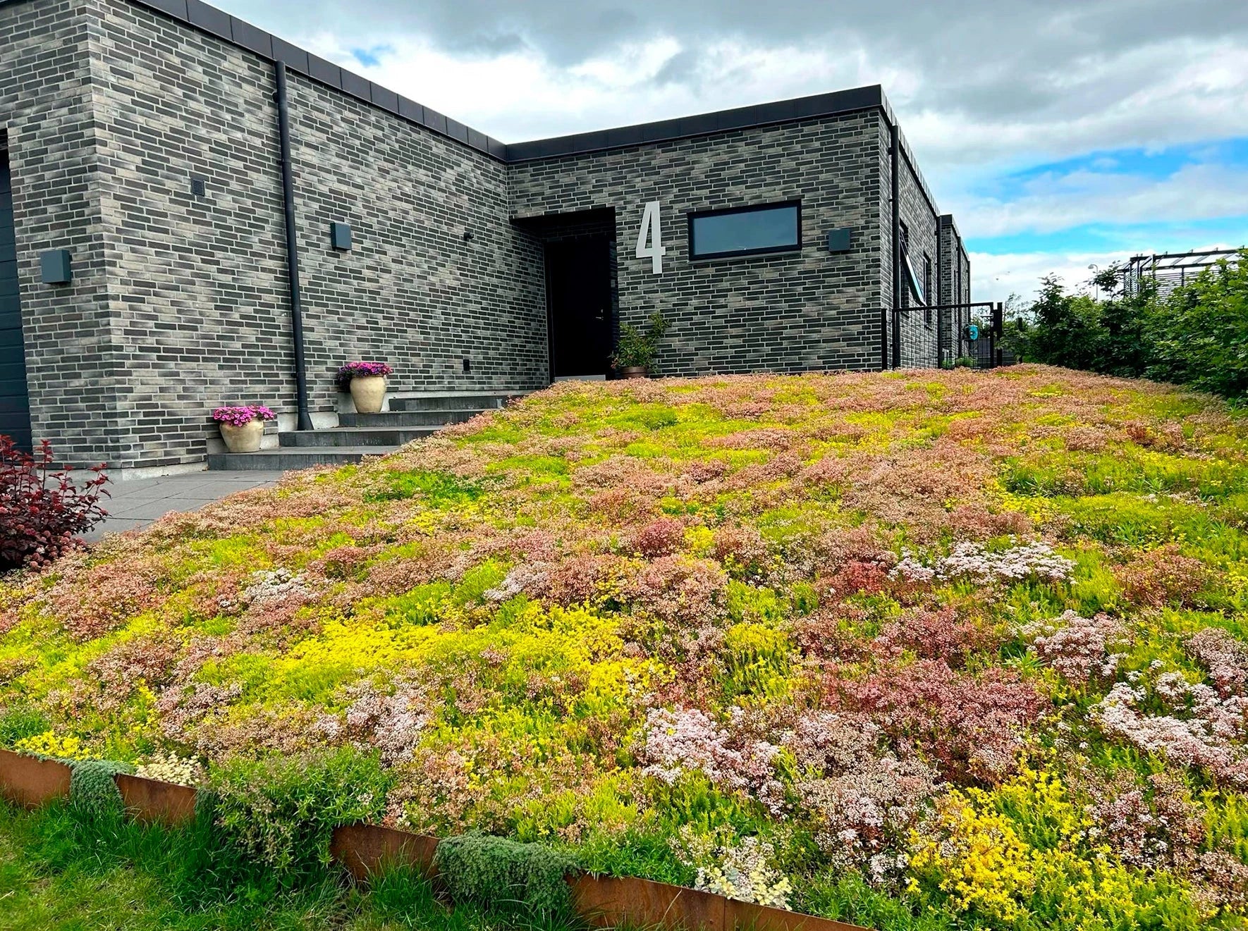 Sedummåtter til haven