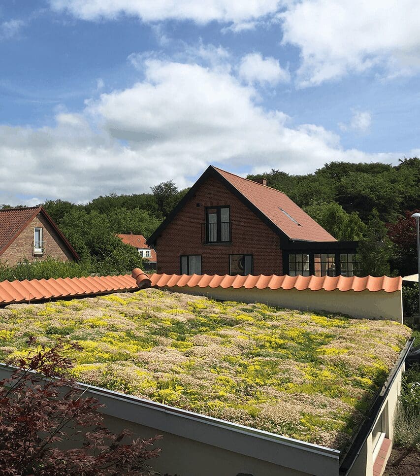 SedumPlus™ Opbygning