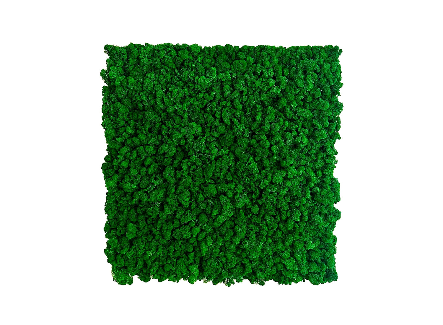 Mospanel til væggen