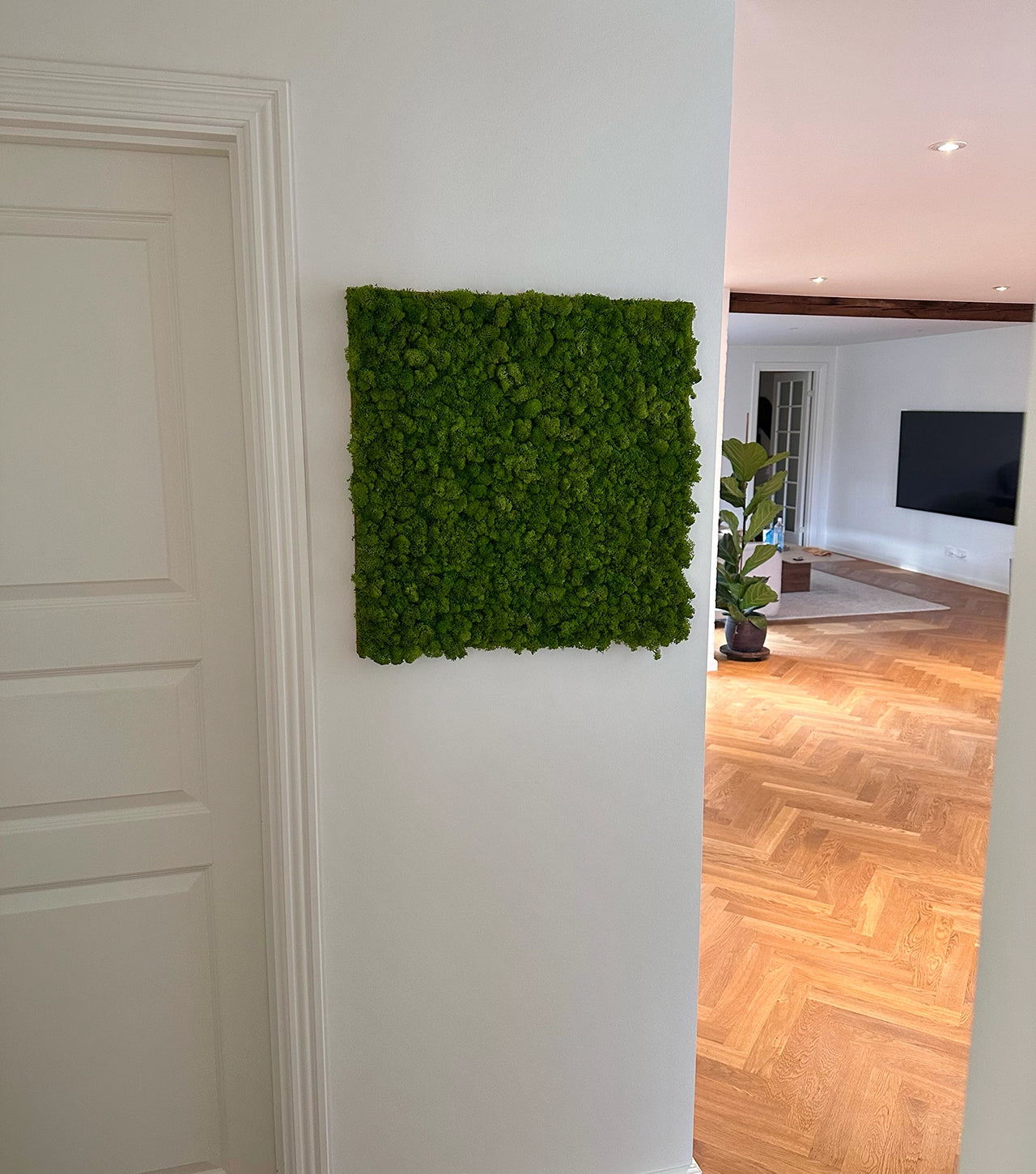 Mospanel til væggen