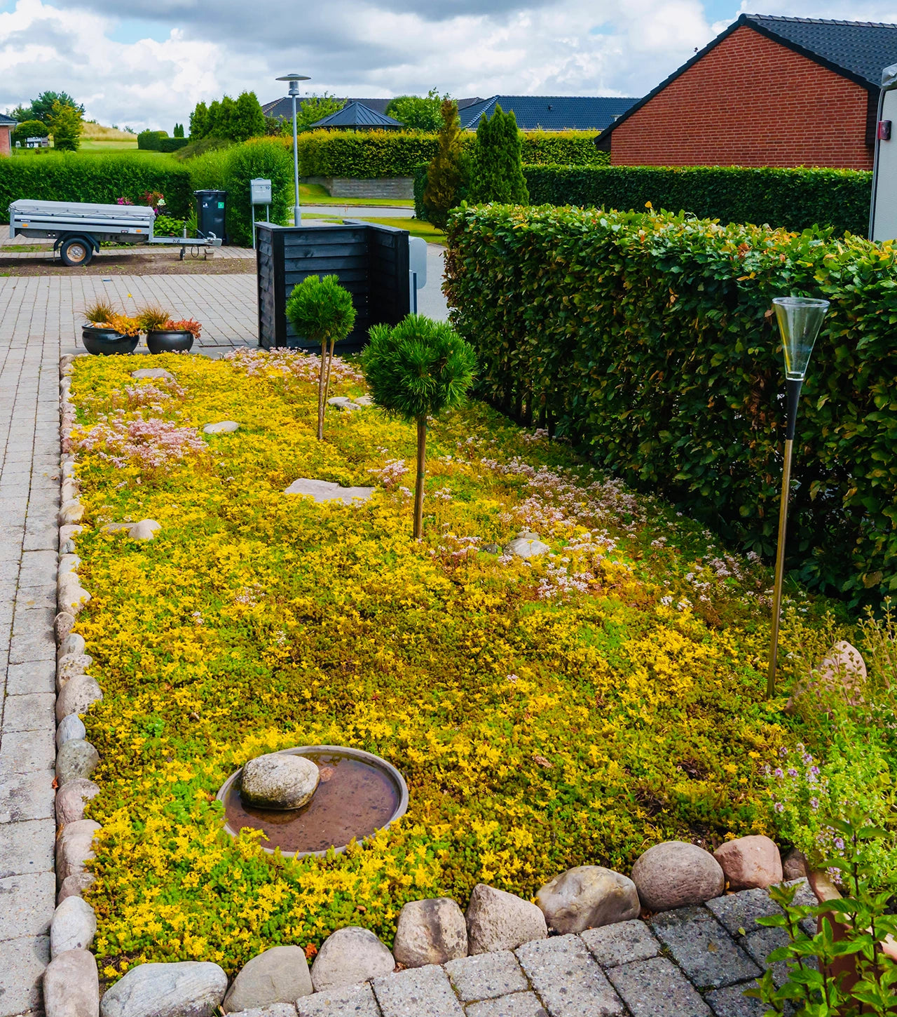 Sedummåtter - NordicMat™