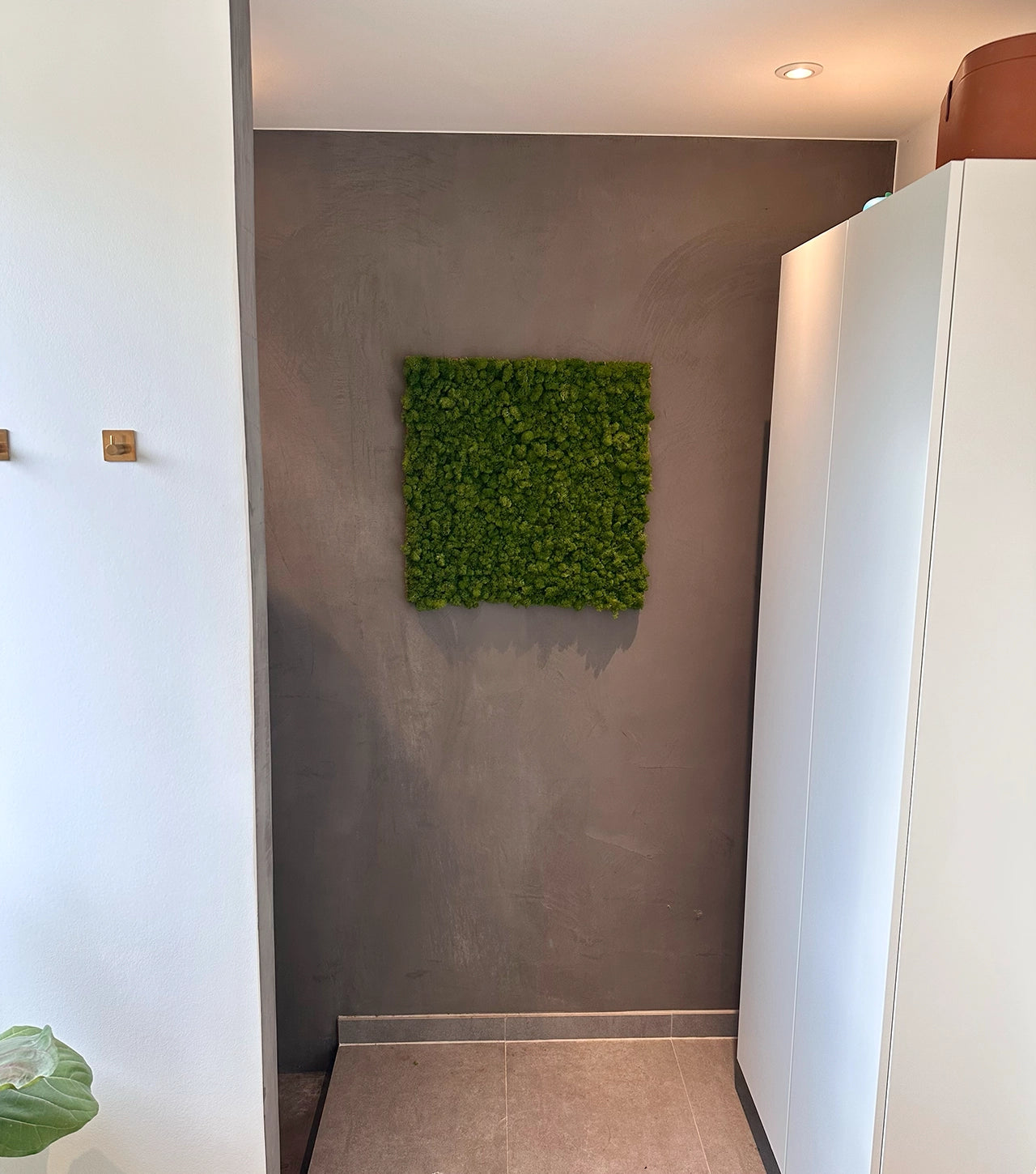 Mospanel til væggen