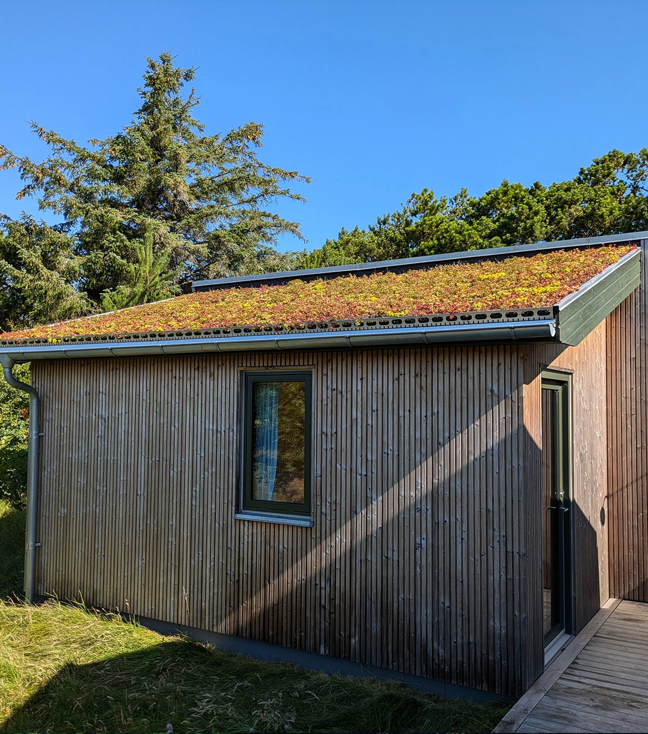 Sedumbakker - NordicTray™