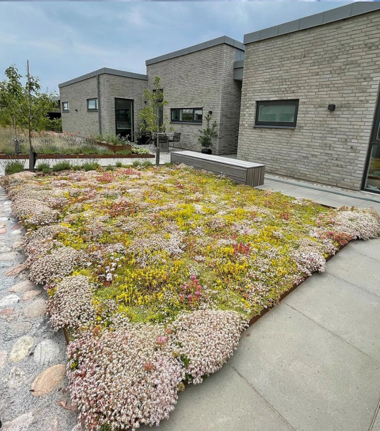 Sedummåtter - NordicMat™