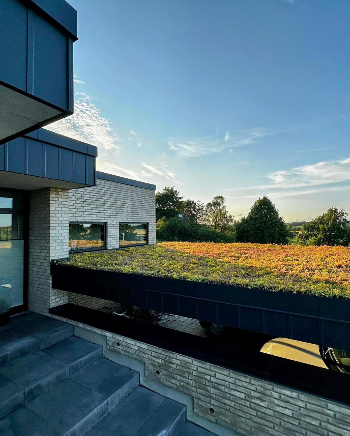 SedumLight™ Opbygning