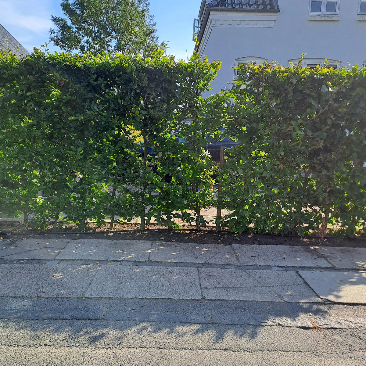 Growtek.dk