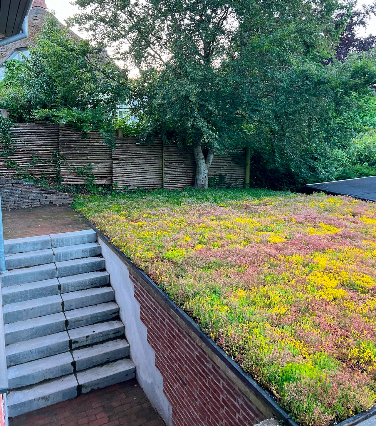 Sedummåtter - NordicMat™