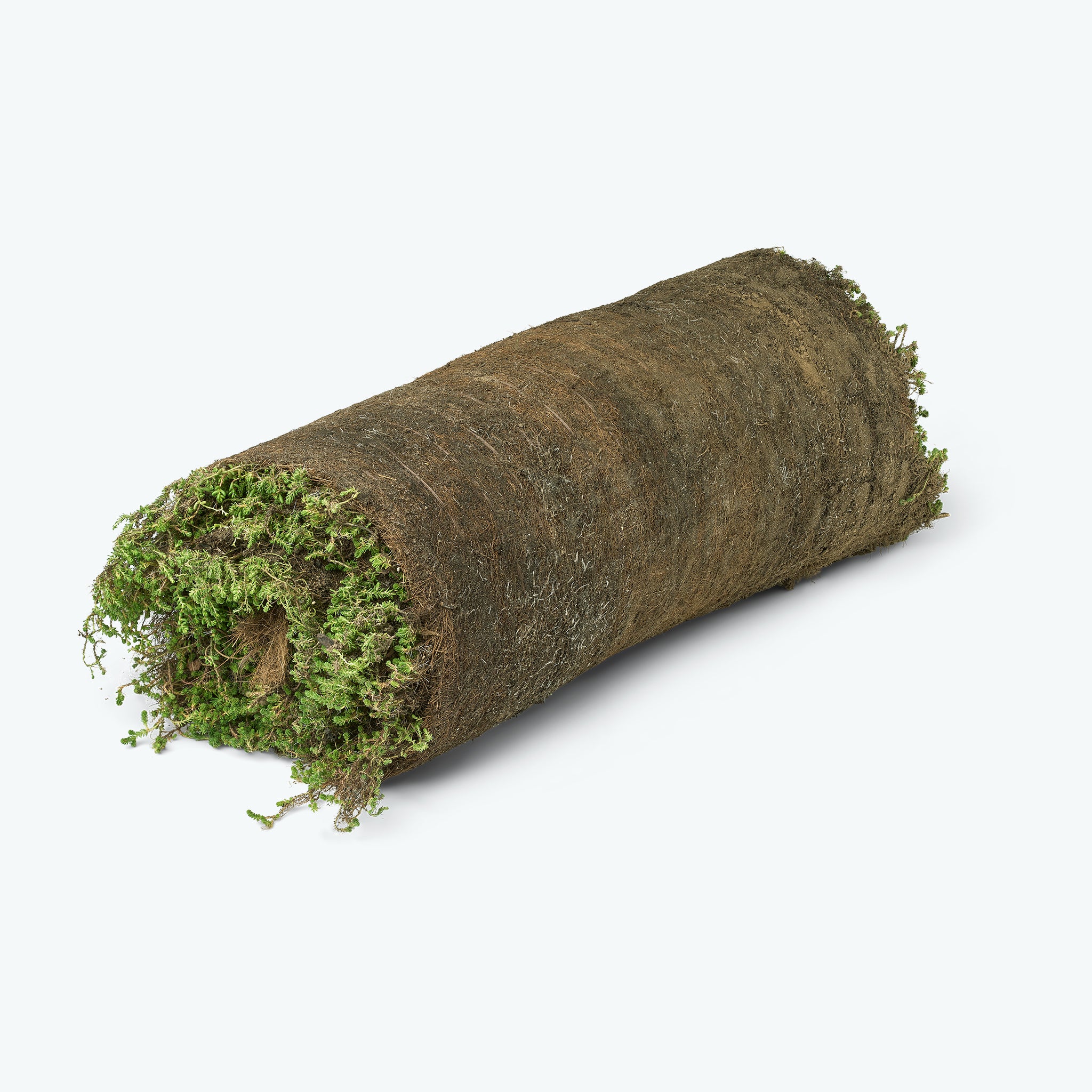 Sedummåtter - NordicMat™