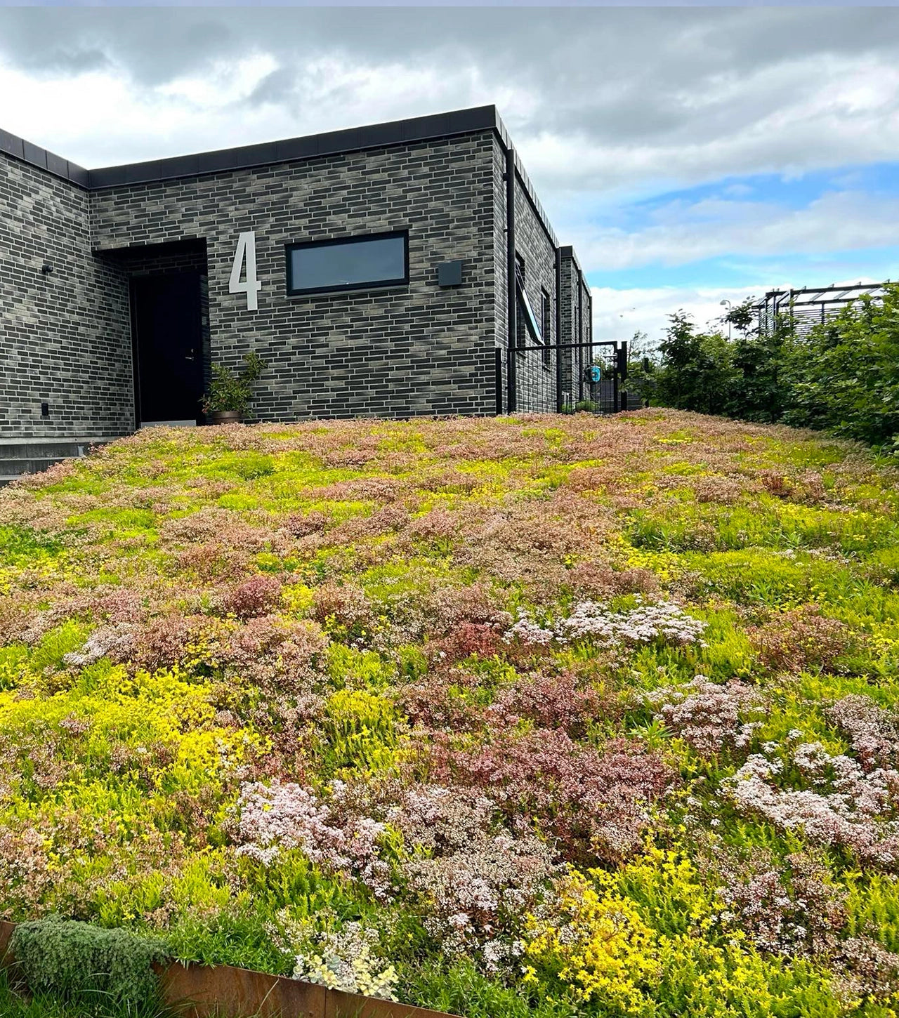 Sedummåtter - NordicMat™