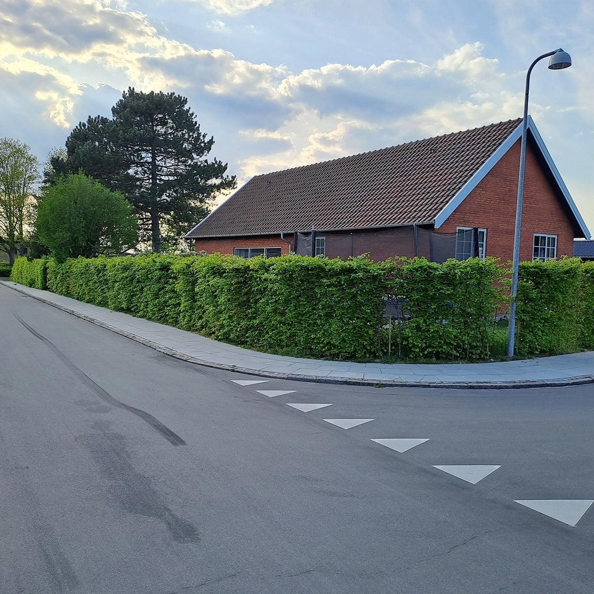 NEMHÆK™ Bøg