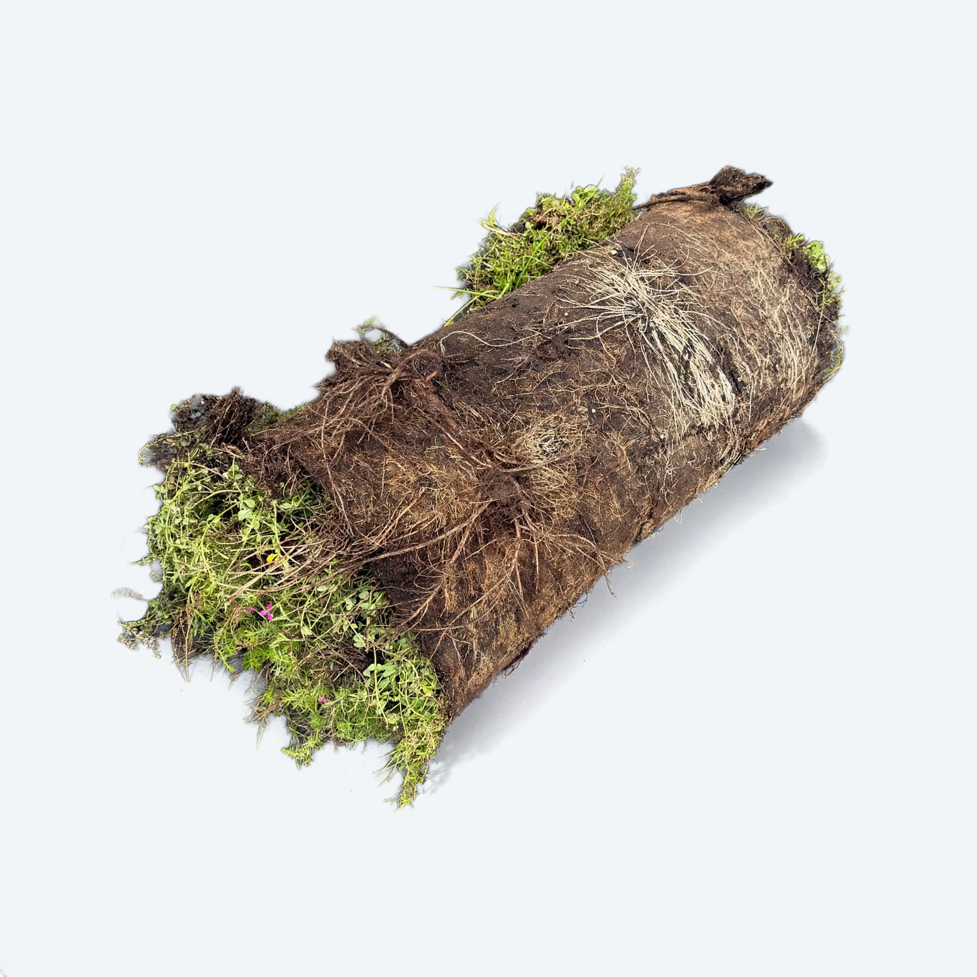 Biodiversitetsmåtte - NordicWild™