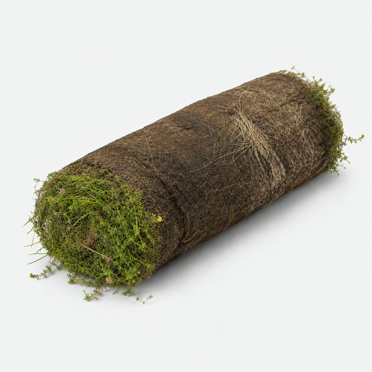 Biodiversitetsmåtte - NordicWild™