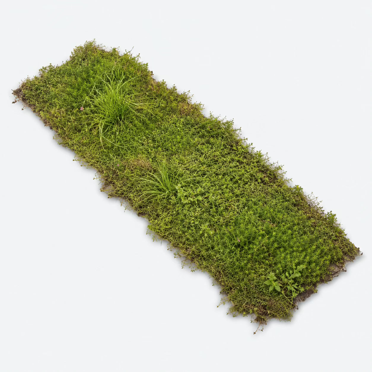 Biodiversitetsmåtte - NordicWild™