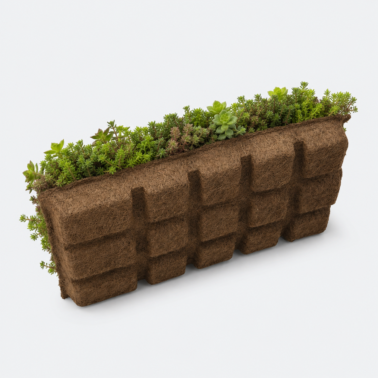 Sedumbakker - Ecoflora™