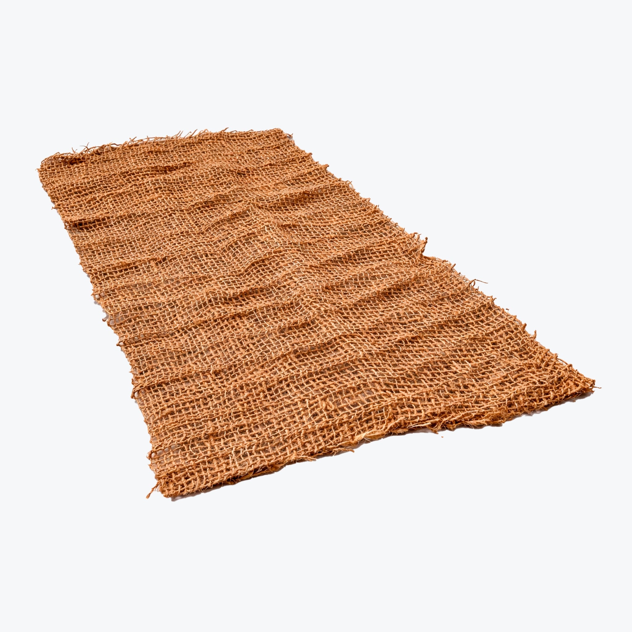 Erosionsnet