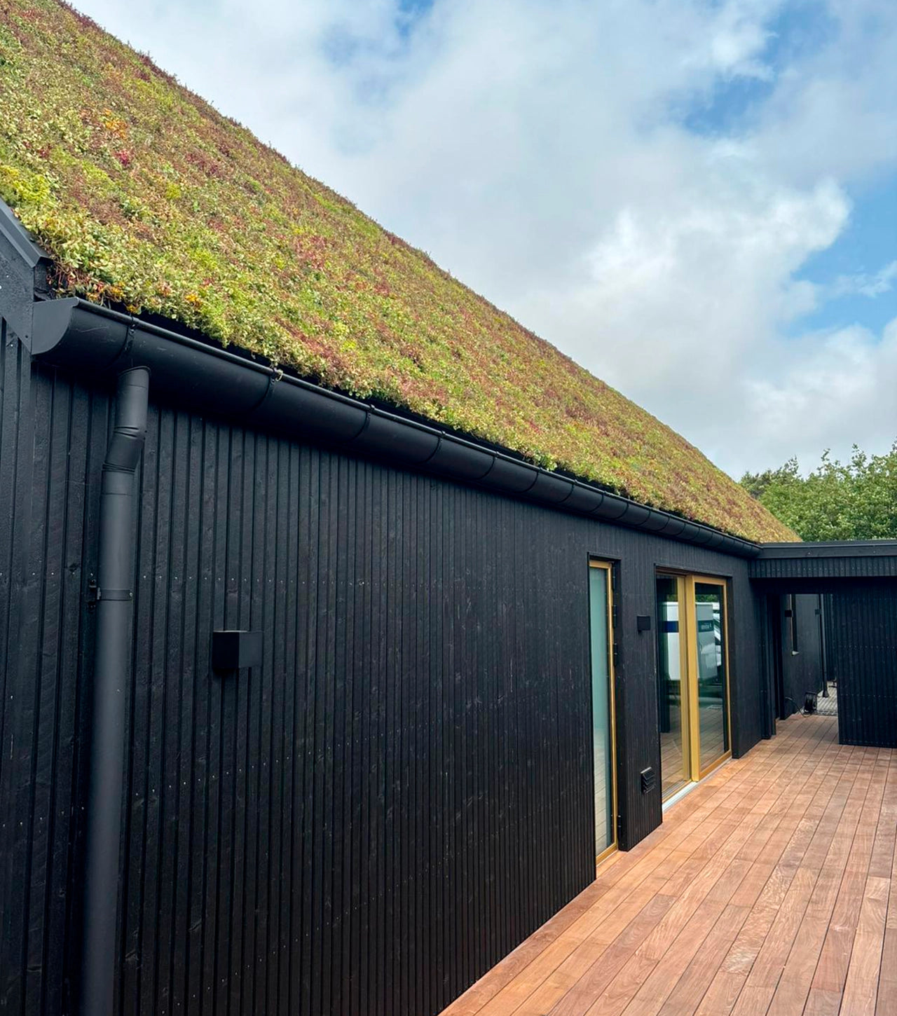 Sedumbakker - NordicTray™