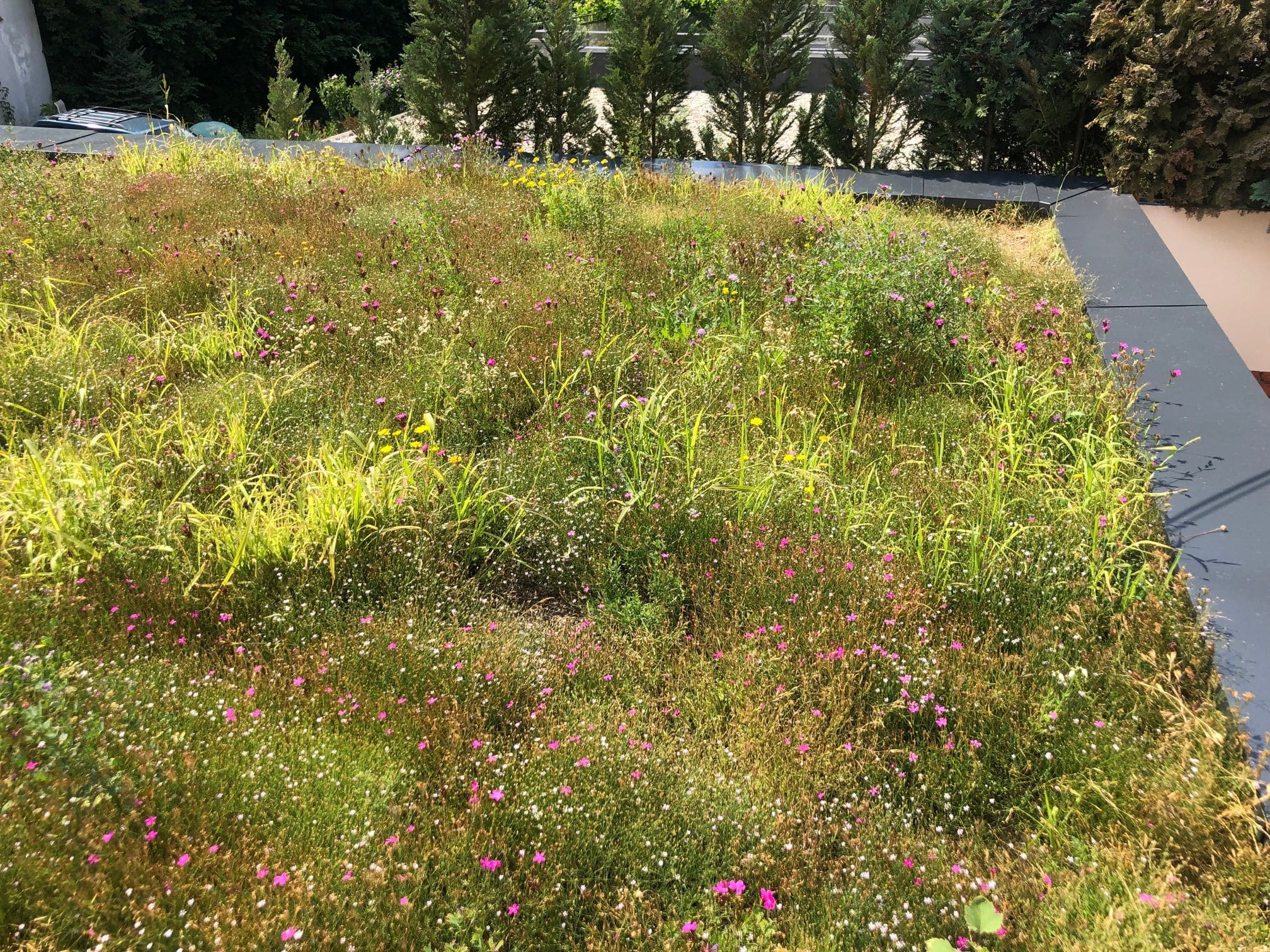 Biodiversitetsmåtte - NordicWild™