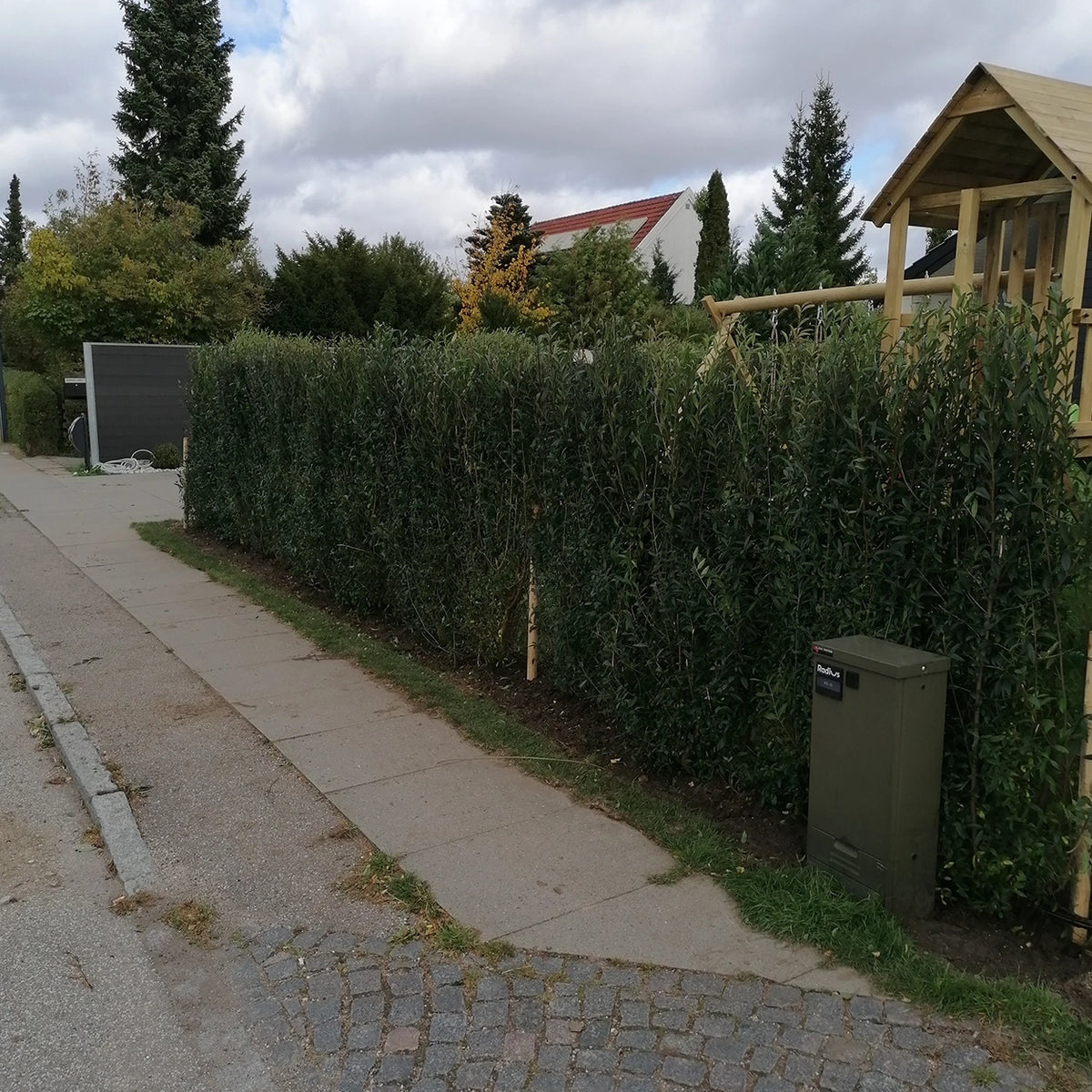 NEMHÆK™ Liguster