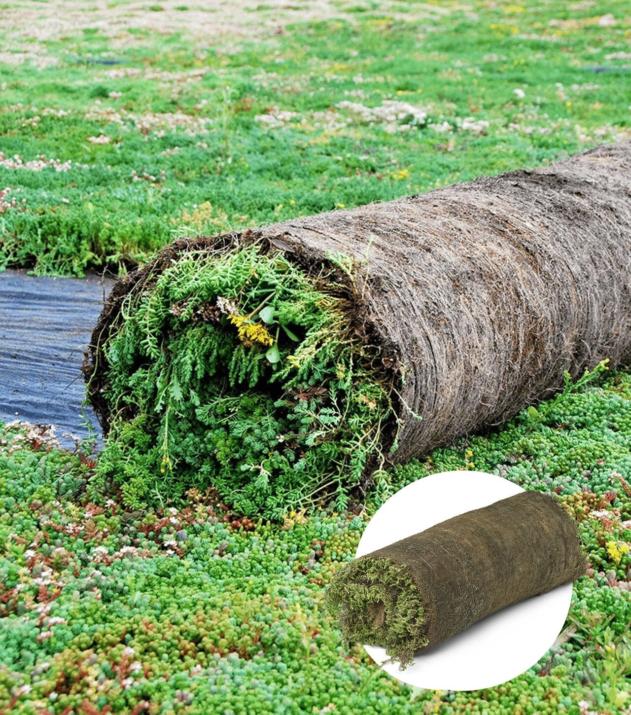 Hvilken hældning har dit tag?