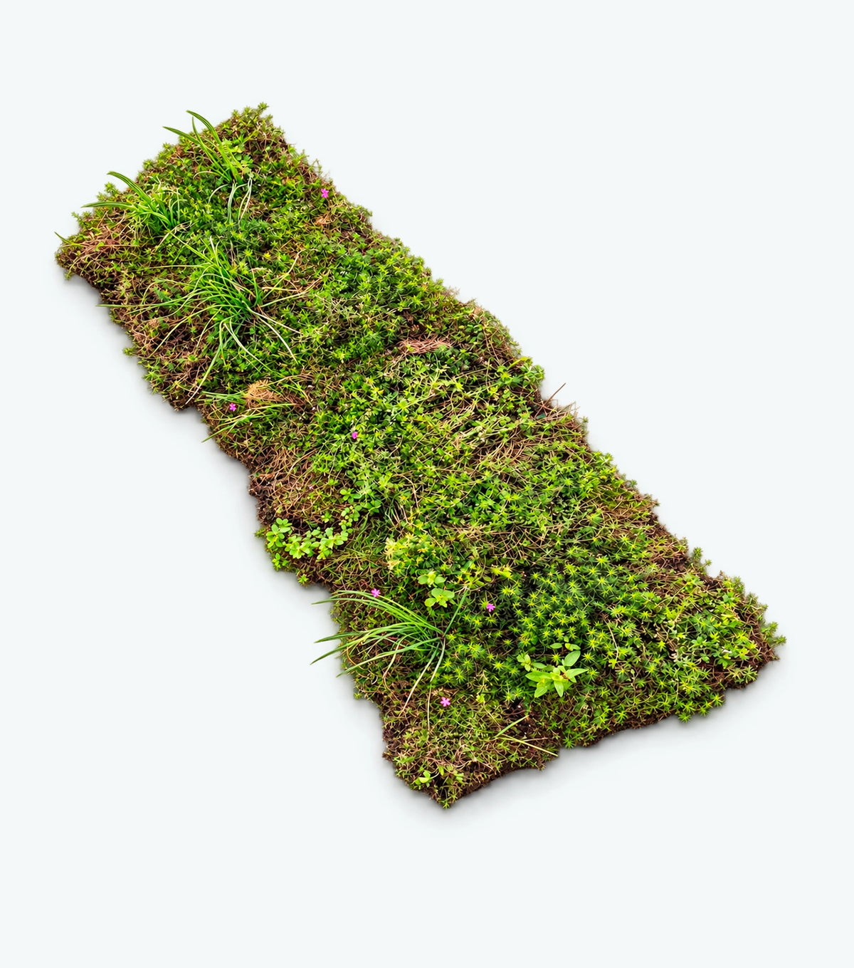 Biodiversitetsmåtte - NordicWild™