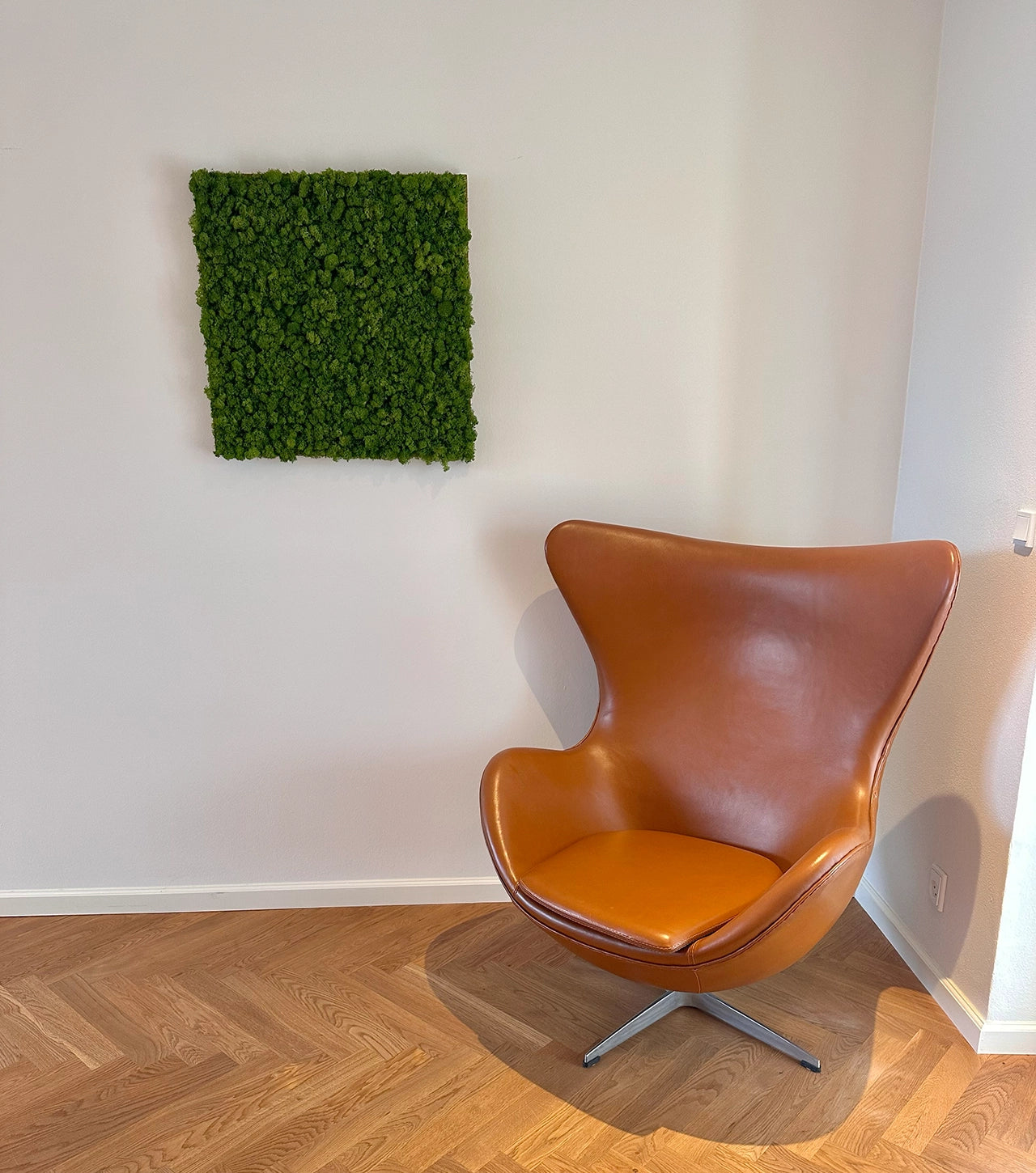 Mospanel til væggen