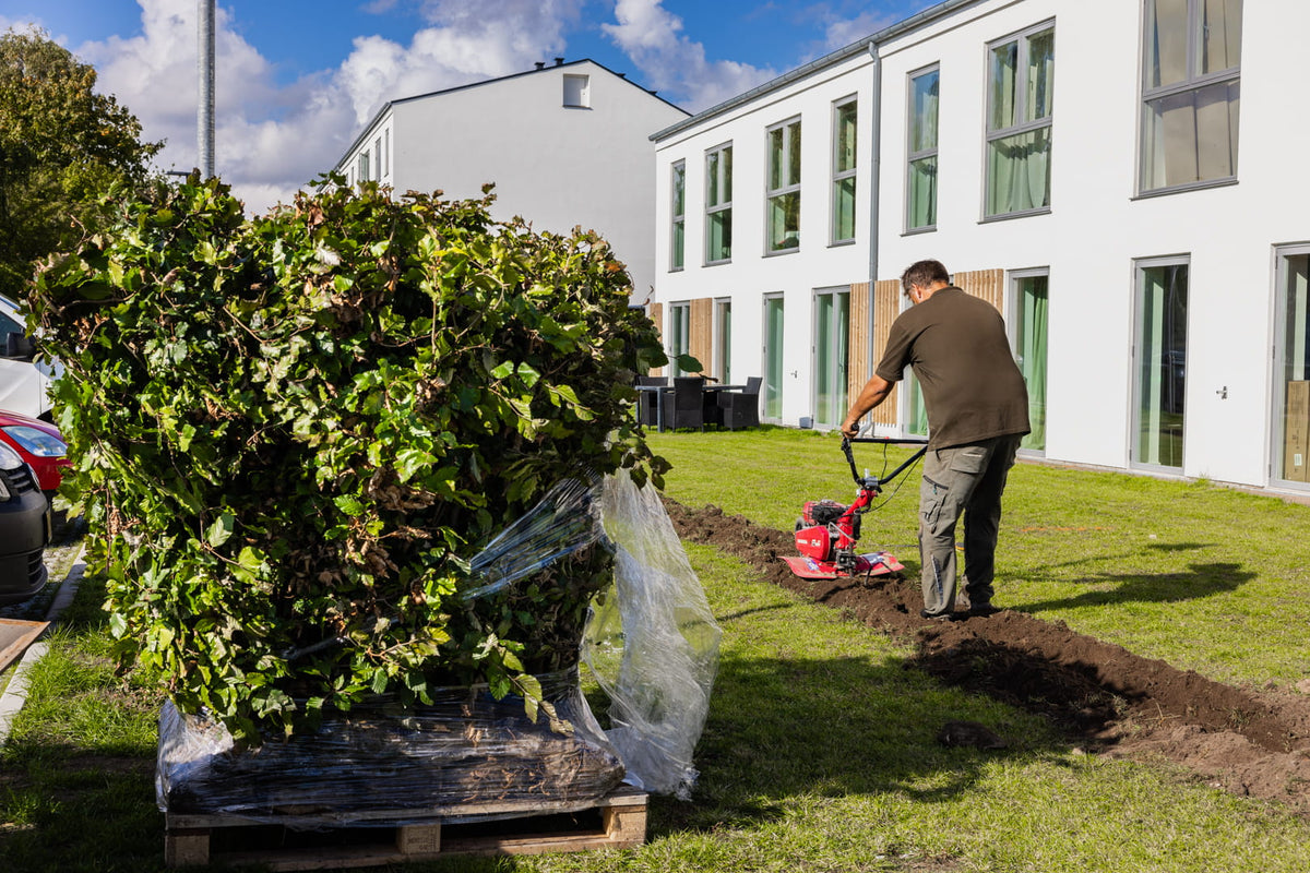Elementer på palle