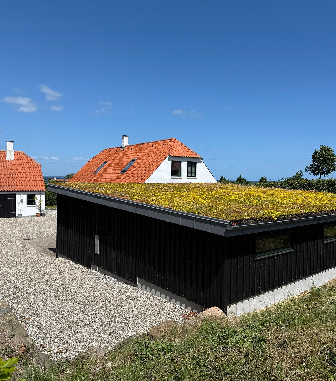 Sedumbakker - Ecoflora™