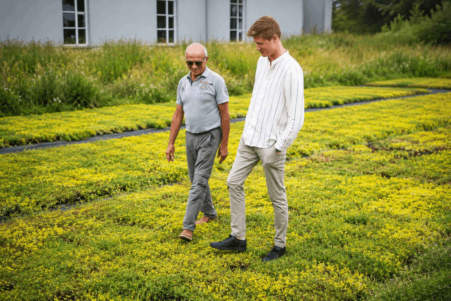 Growtek.dk