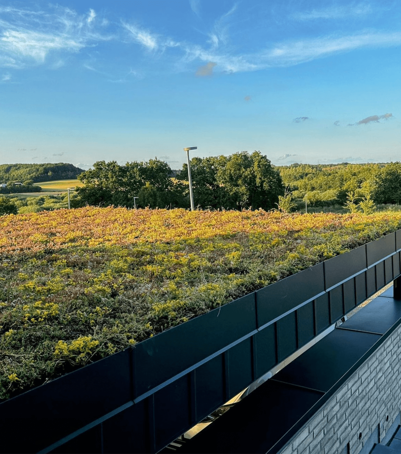 SedumPlus™ Opbygning