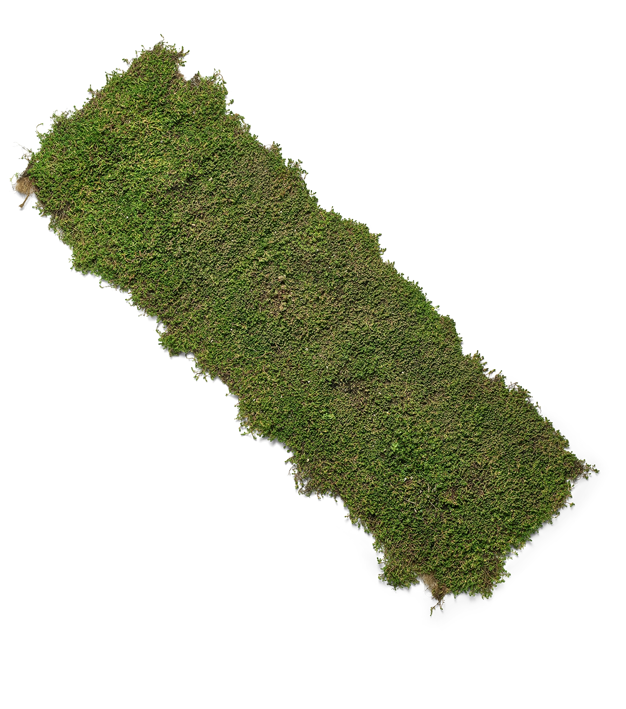 Sedummåtter - NordicMat™