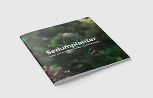 Sedumplanter