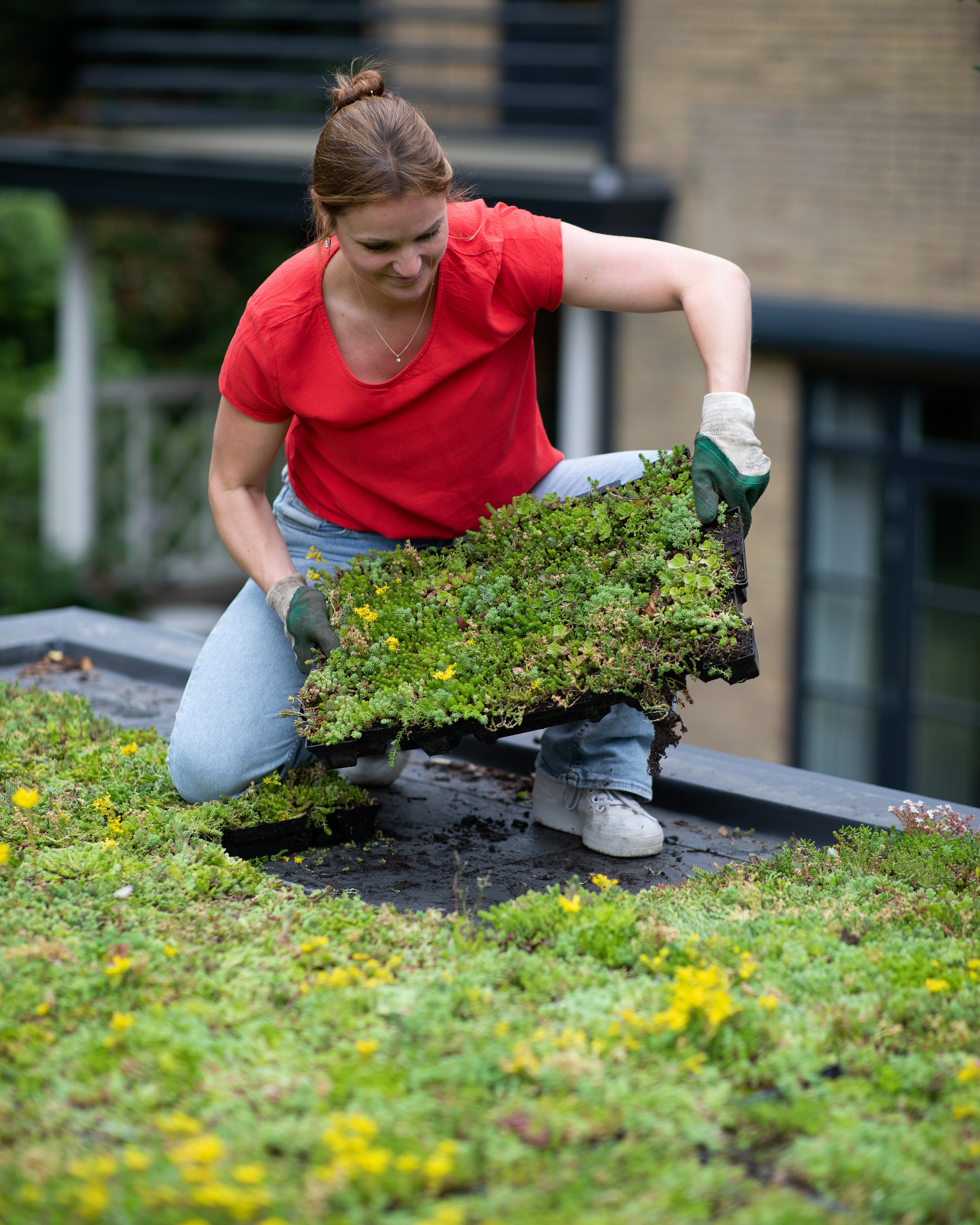 Sedumbakker - NordicTray™
