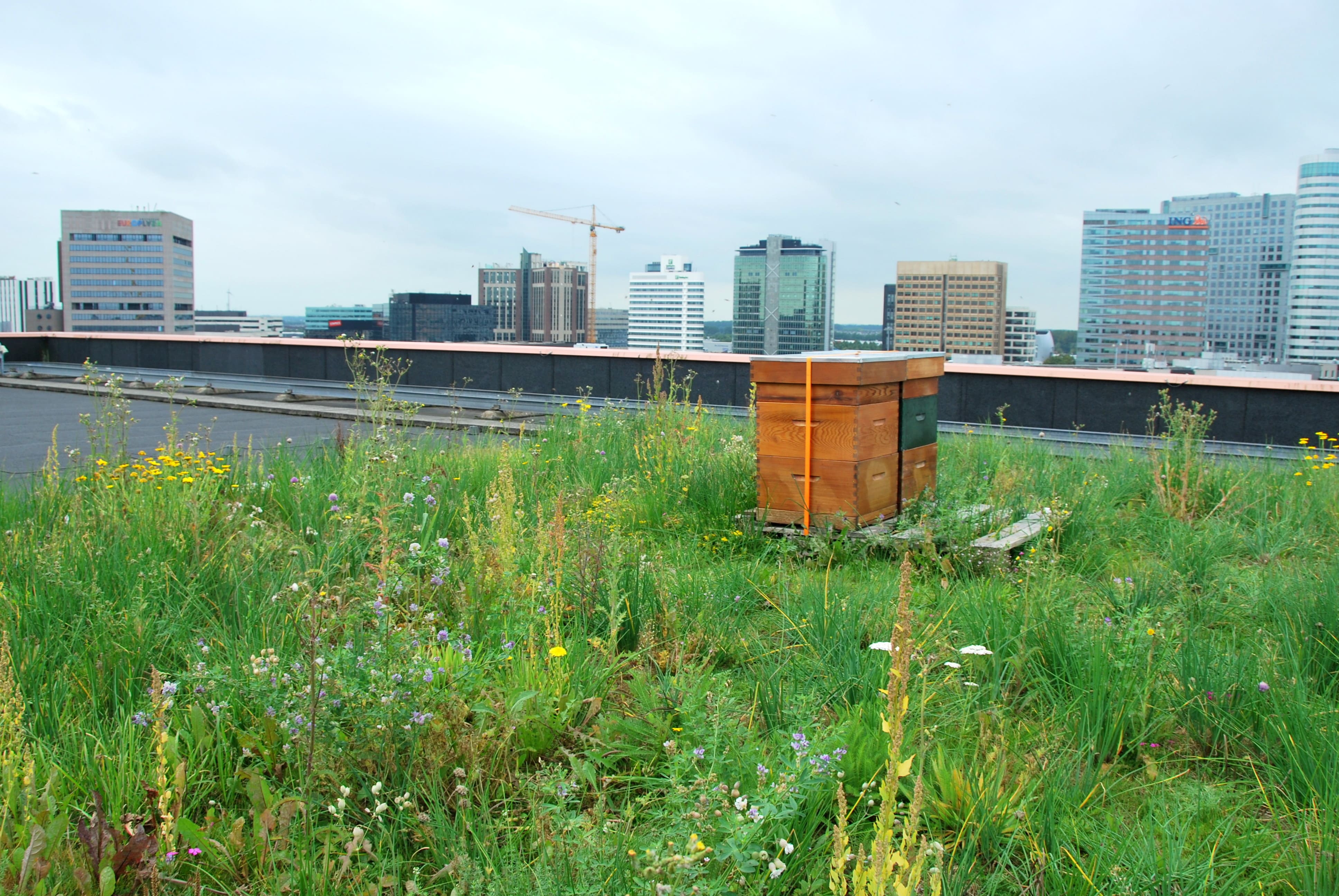Biodiversitetsmåtte - NordicWild™